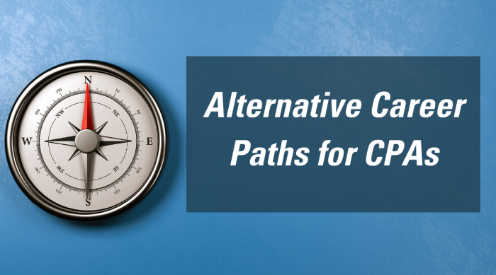 Alternative career paths CPAs 